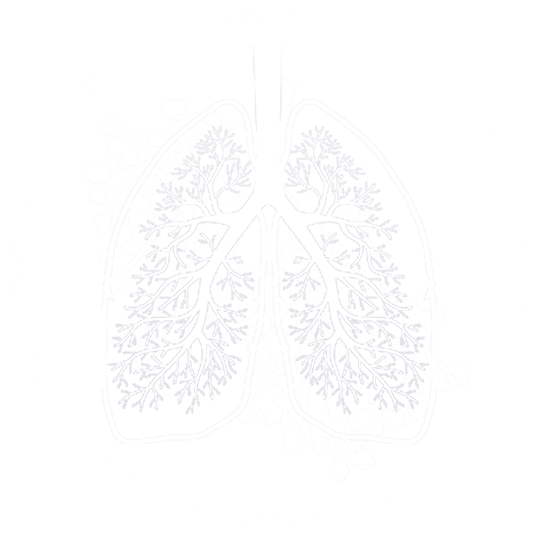 Lungs
